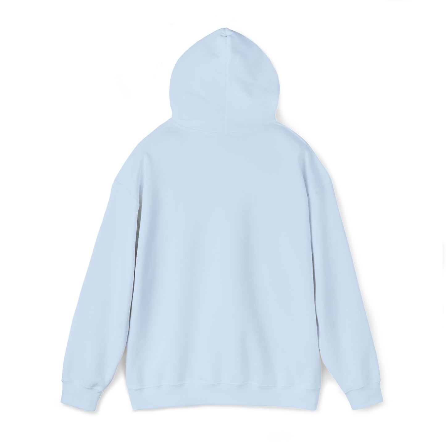 The Luxe Hoodie (Light Blue)